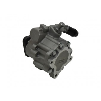 Direksiyon Pompası Mini-R50 [1ND]